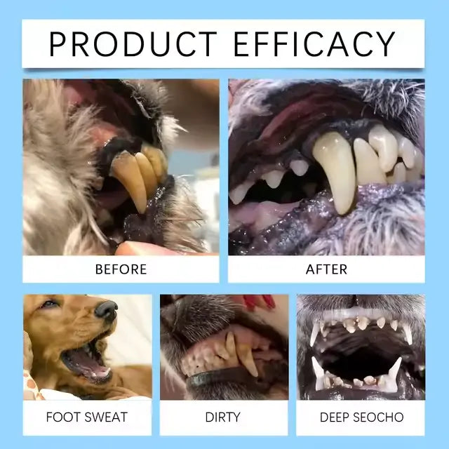 [ Official Store ]😻🐶 Furzero® Pet Dental & Digestive Health Oral Liquid–Freshen Breath, Remove Tartar & Promote gum regeneration, stabilize teeth (for Cats & Dogs)  – Save 70% Today!